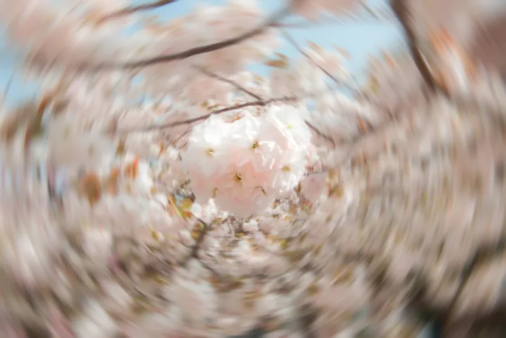 Photograph by Keru Chen, archive 5