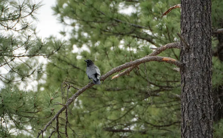 Photograph by Keru Chen, archive 105