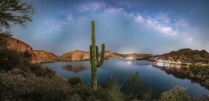 A panoramic night sky above cacti and still water