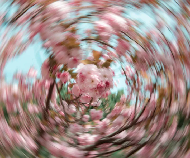 Photograph by Keru Chen, archive 18