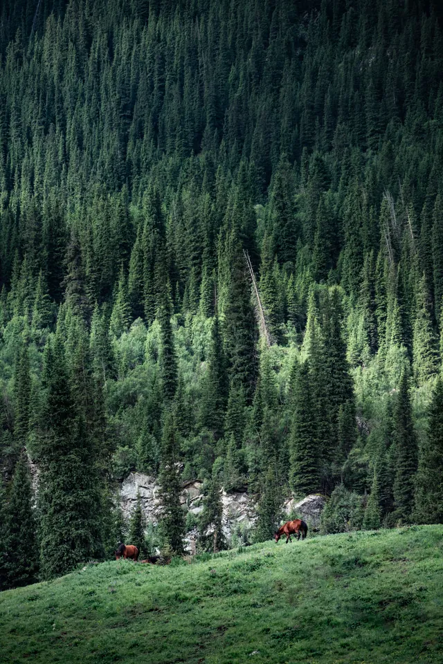Photograph by Keru Chen, archive 117