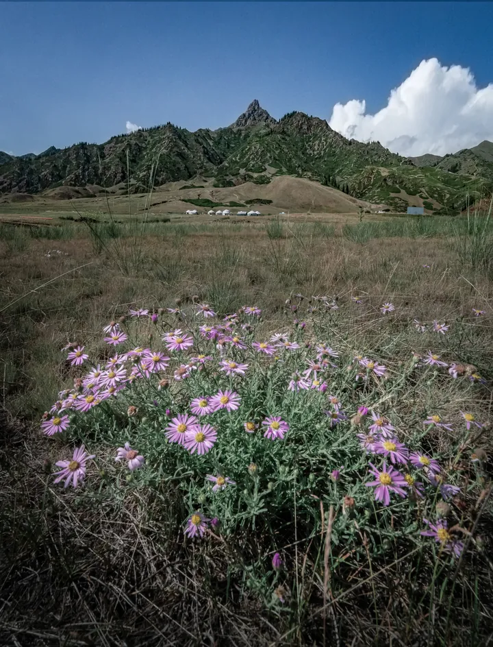 Photograph by Keru Chen, archive 125