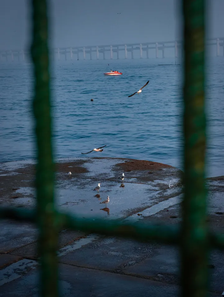 Photograph by Keru Chen, archive 70