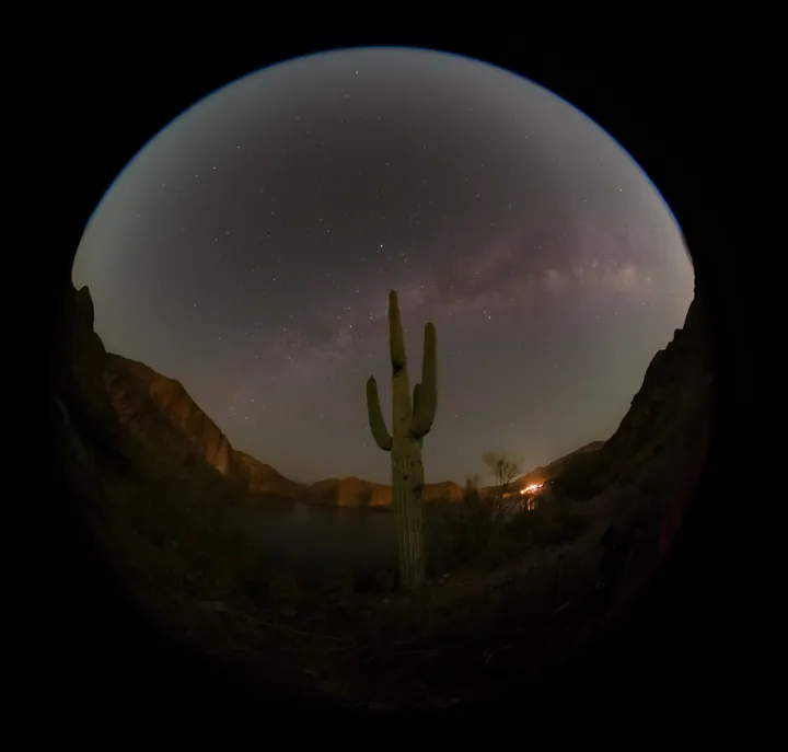 A circular view of the night sky framed by desert cacti