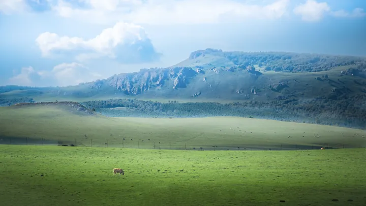 Sunlight on green grasslands backed by distant mountains